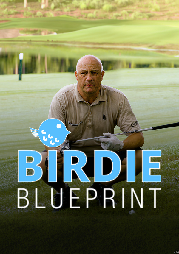 Birdie Blueprint