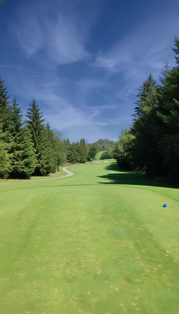Tight Fairway with OB Right