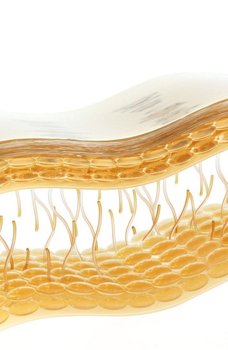 Triple-Action [Results.]